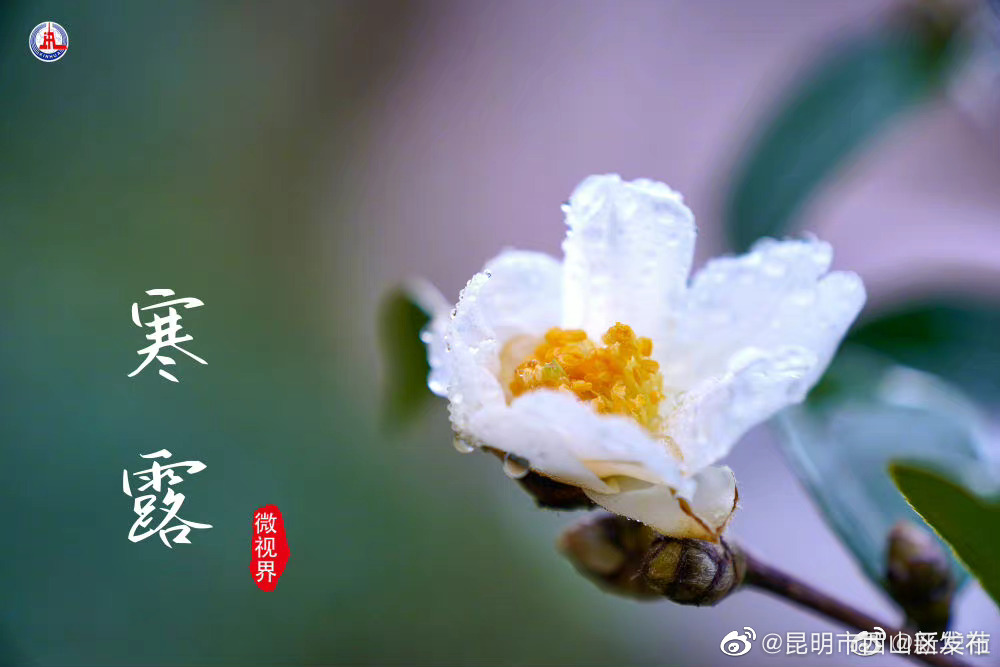 昆明市西山区发布