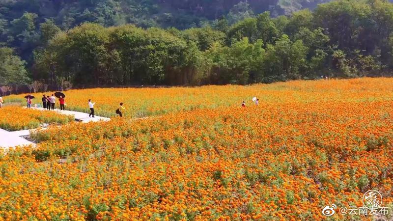 “云南发布”微博