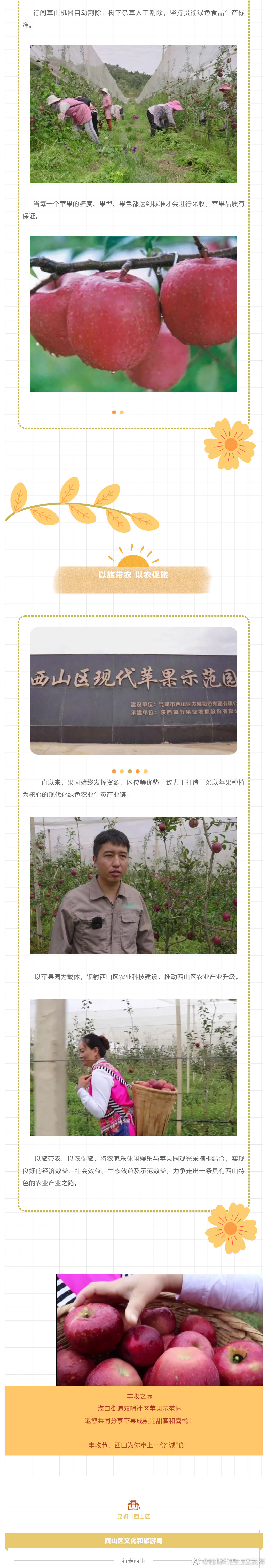 昆明市西山区发布