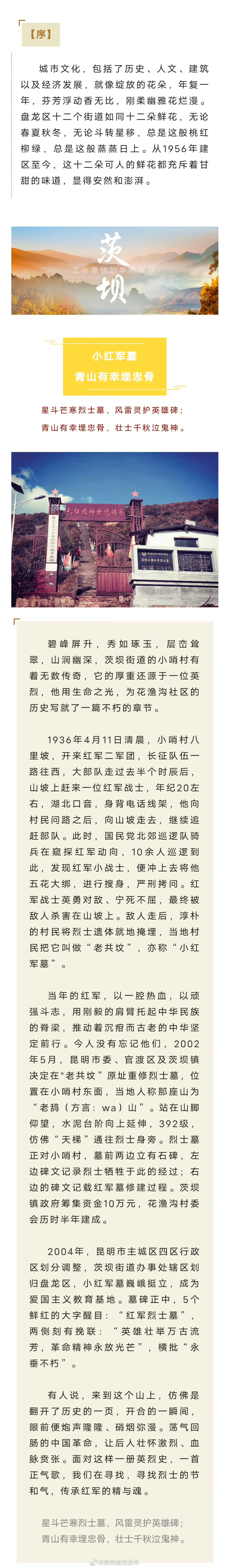 芳华正茂 盘龙如歌 | 小红军墓——青山有幸埋忠骨
