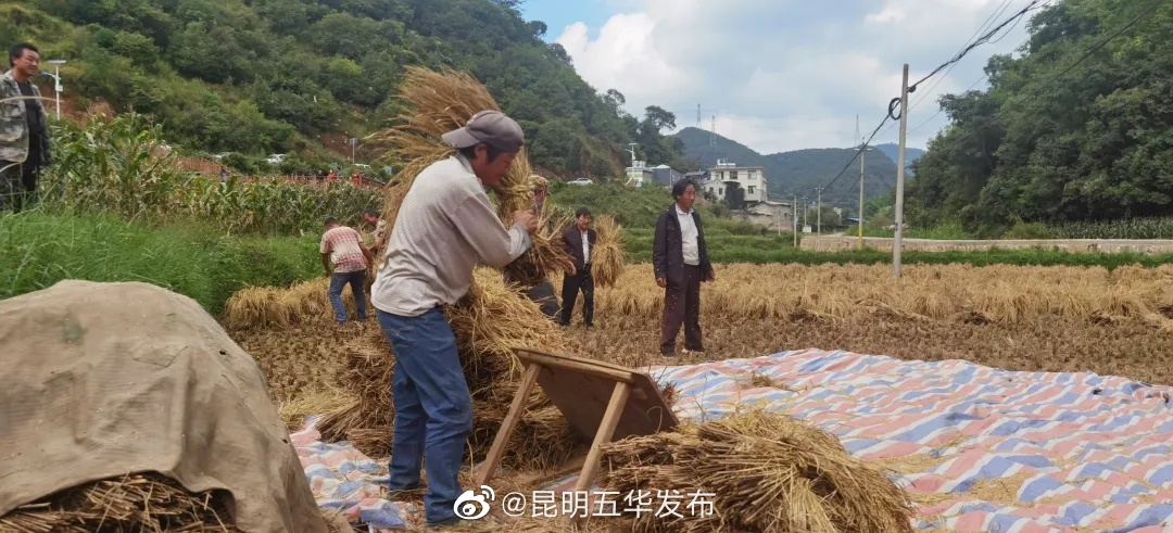 “昆明五华发布”微博