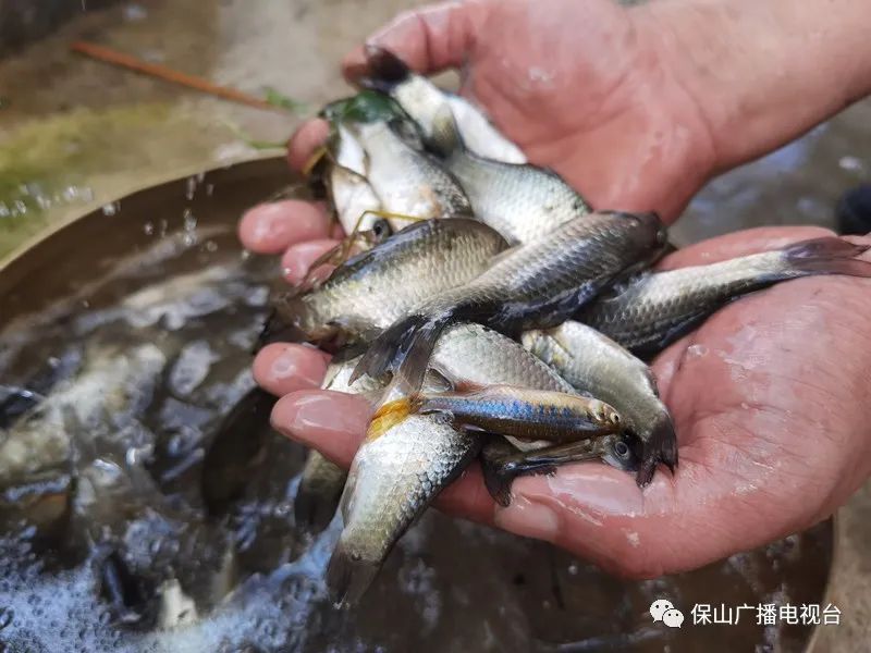 保山广播电视台