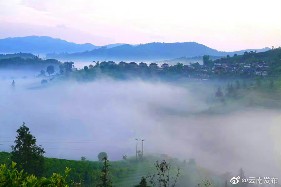 “云南发布”微博