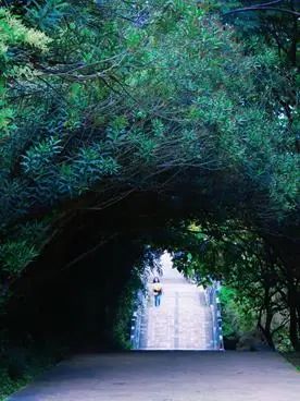 悦读嵩明