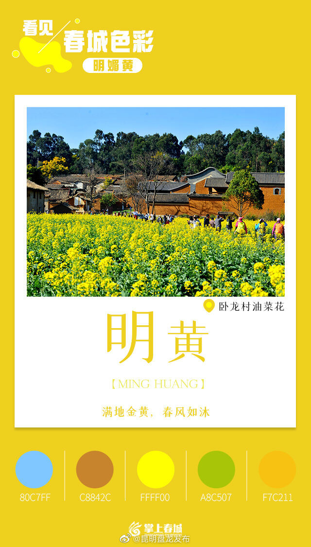 昆明盘龙发布