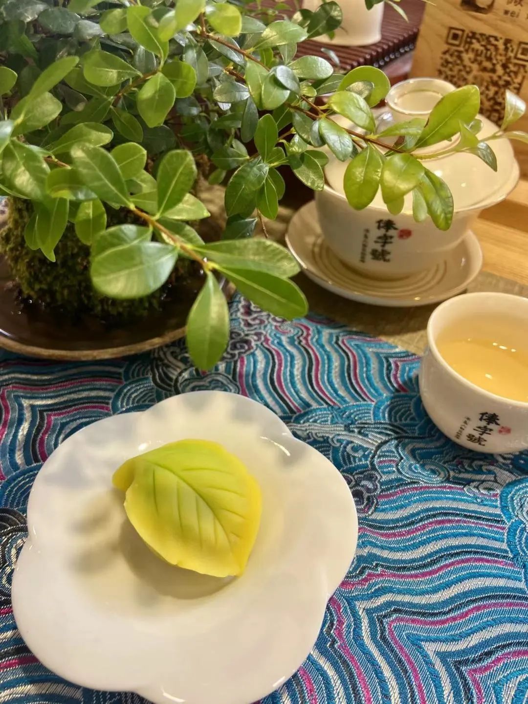 微观盘龙