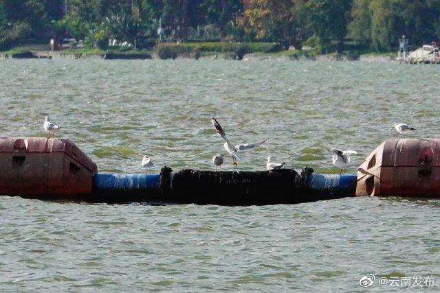 “云南发布”微博