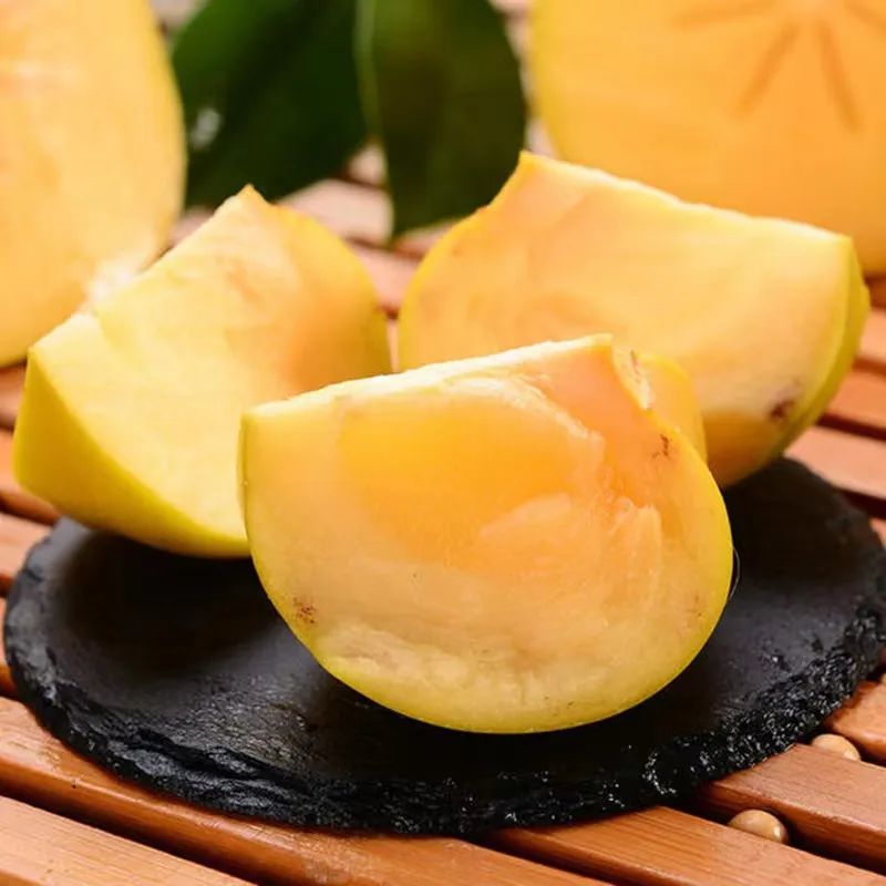 一部手机游云南