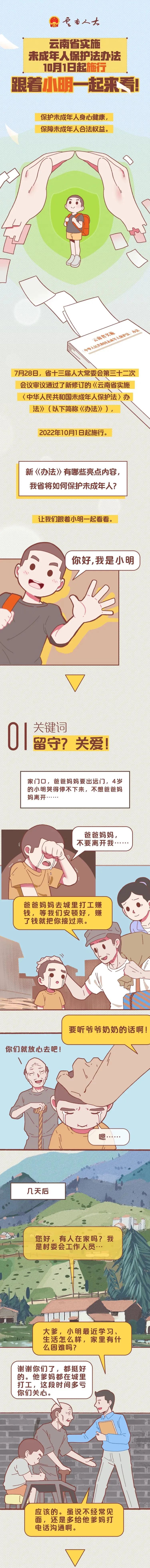 云南政法
