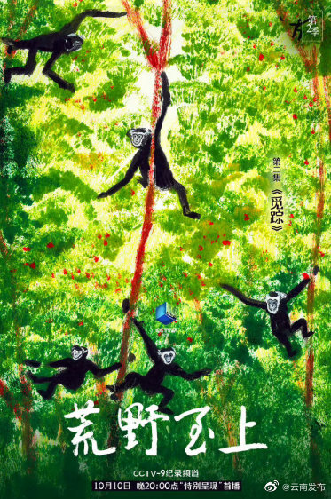 森林里的觅踪寻迹！纪录片荒野至上第二季