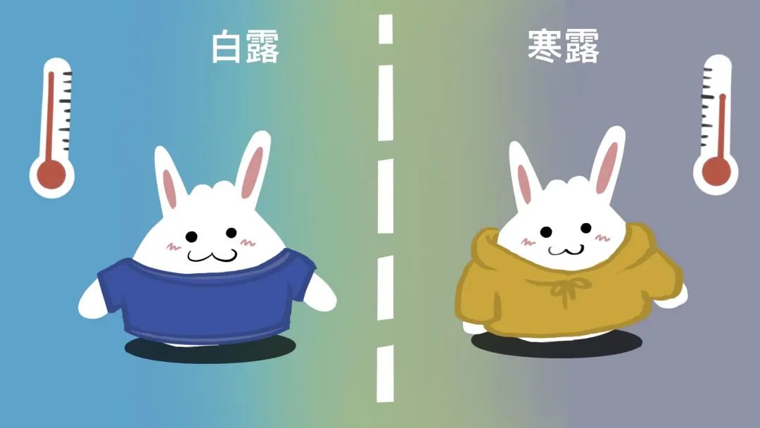 美丽云南微科普