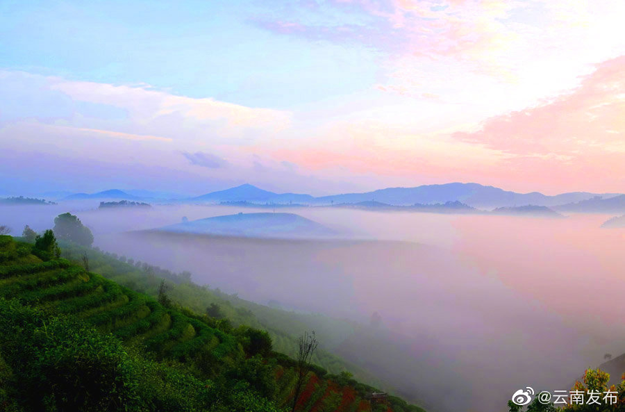 “云南发布”微博