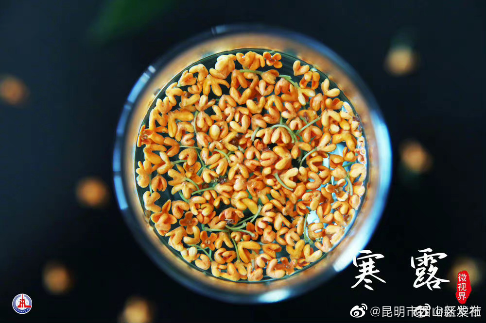 昆明市西山区发布