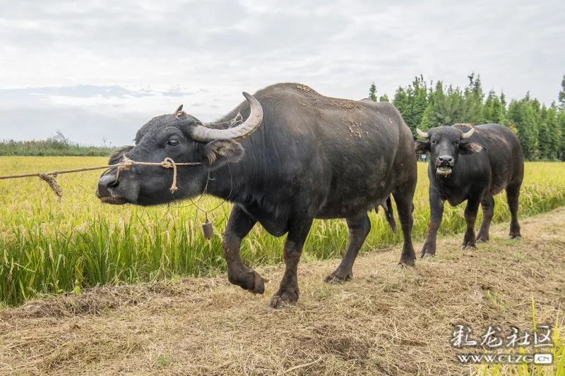 昆明生态环境