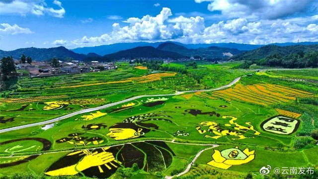 “云南发布”微博