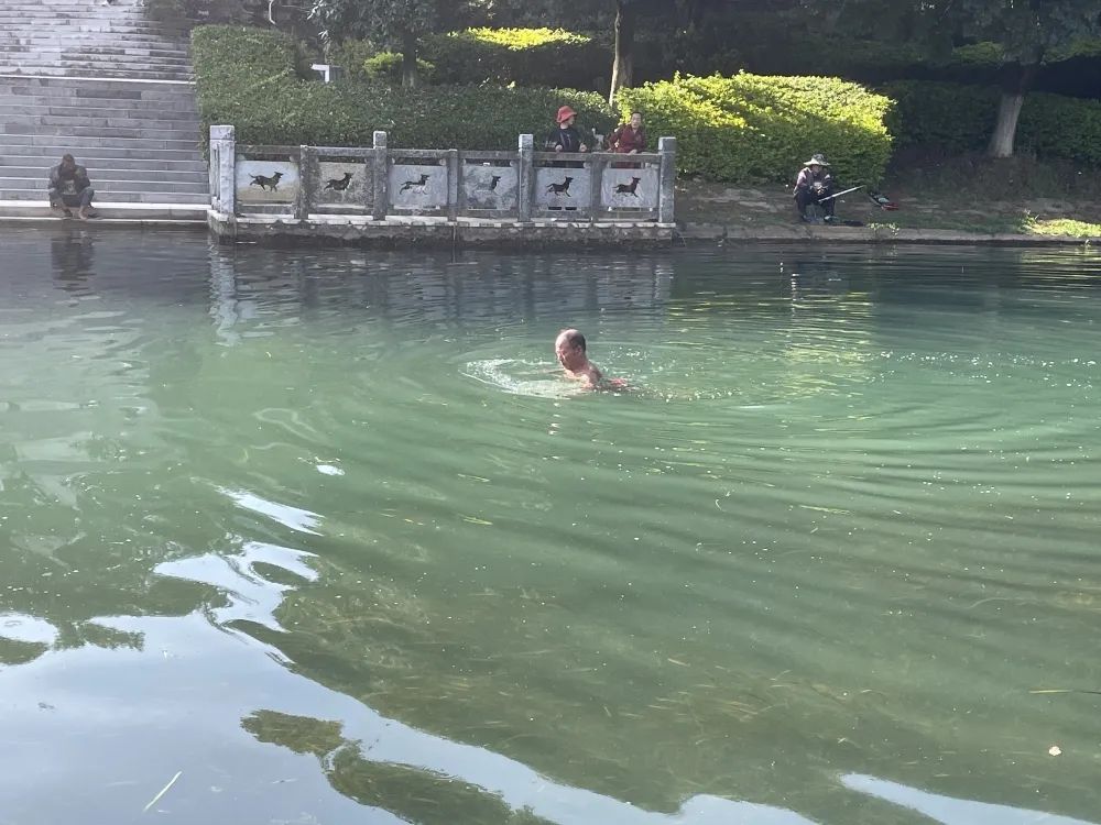 石林融媒
