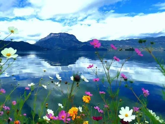 昆明市旅游监察支队