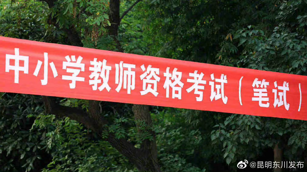 教资报考人数10年来翻66倍 专家：年轻人就业追求稳定