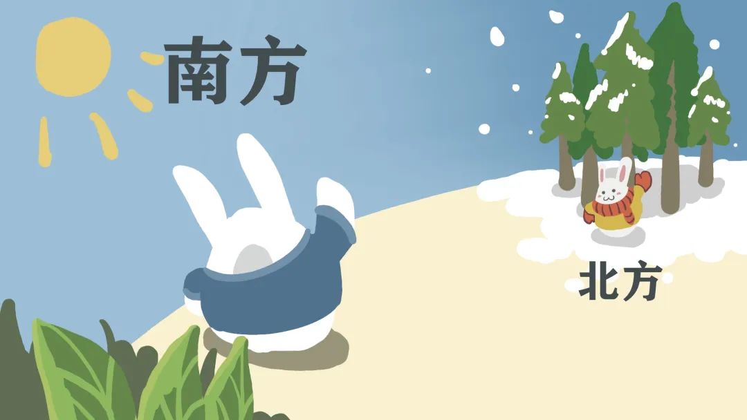 美丽云南微科普