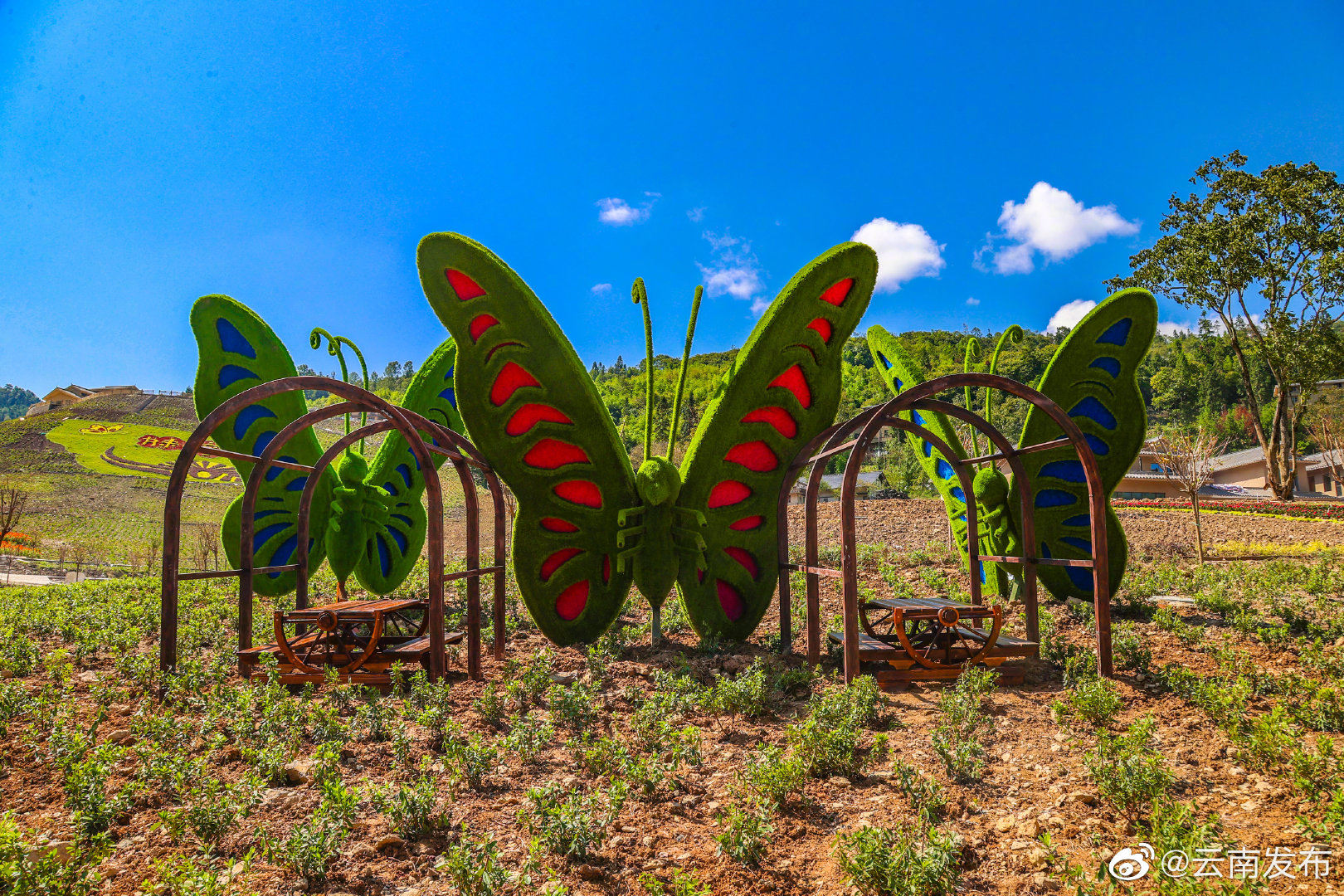 “云南发布”微博