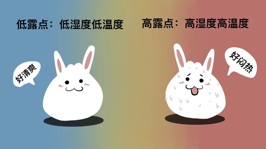 美丽云南微科普