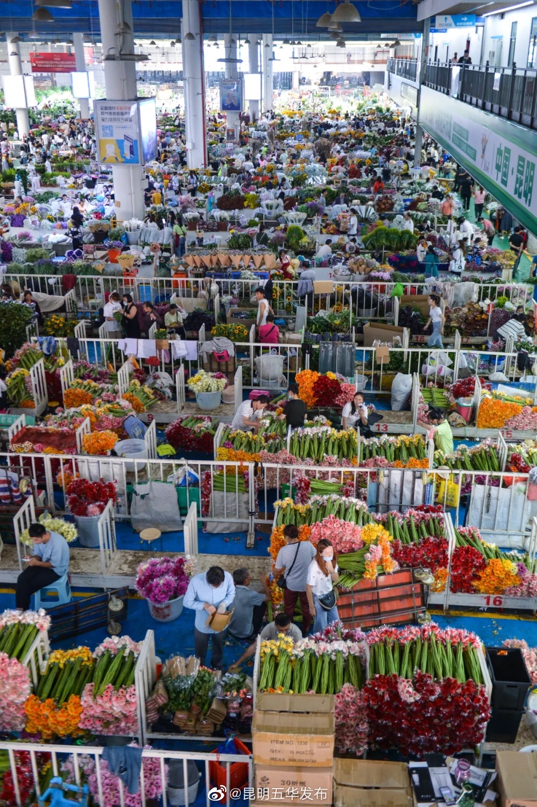 “昆明五华发布”微博