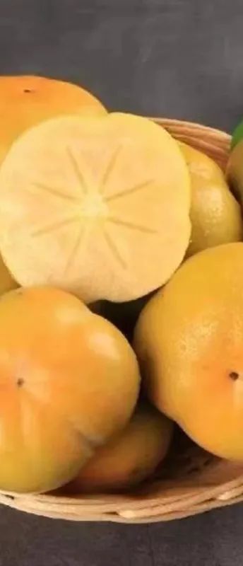 一部手机游云南