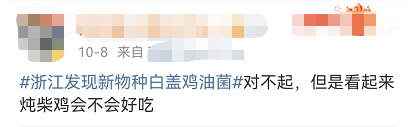 云南广播电视台