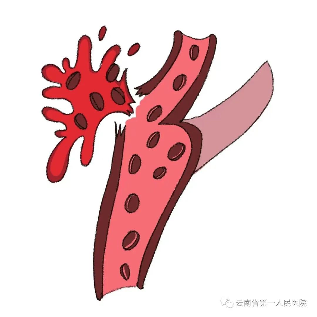 云南卫生12320