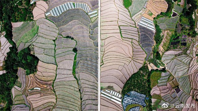 “云南发布”微博