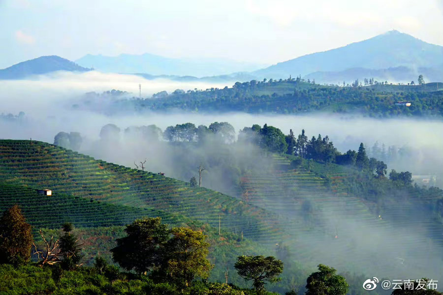 “云南发布”微博