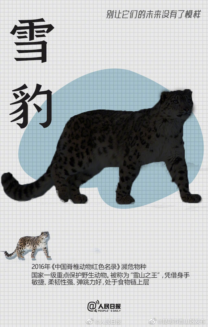 昆明市西山区发布