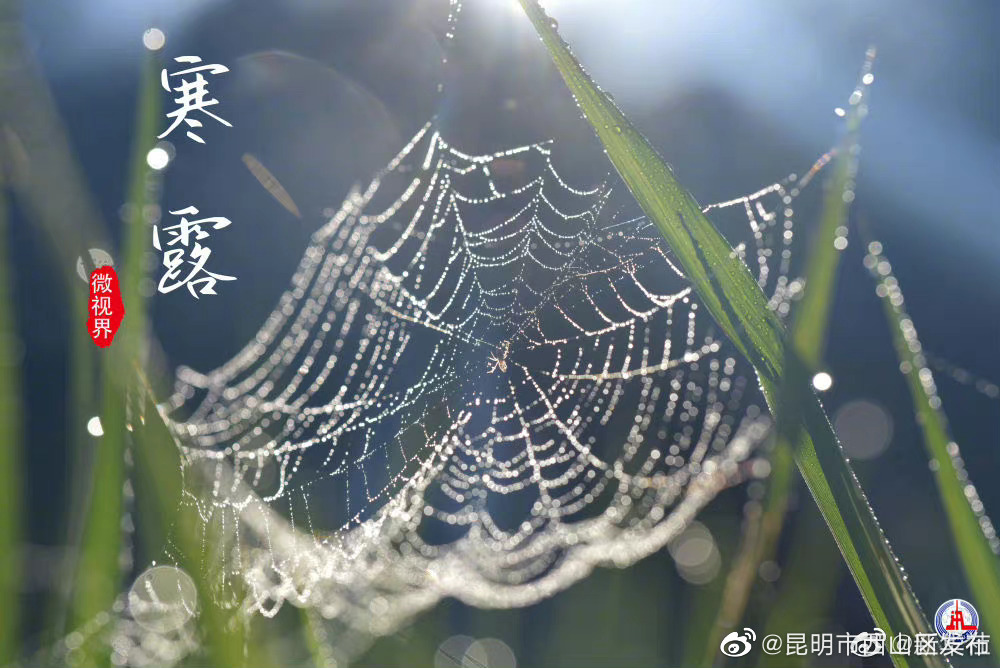 昆明市西山区发布