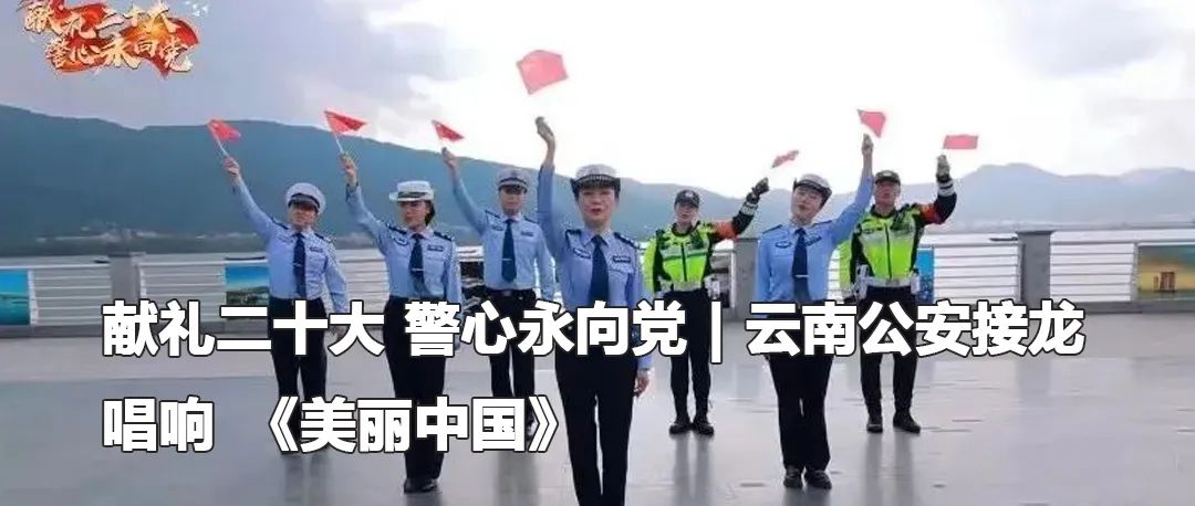 云南政法