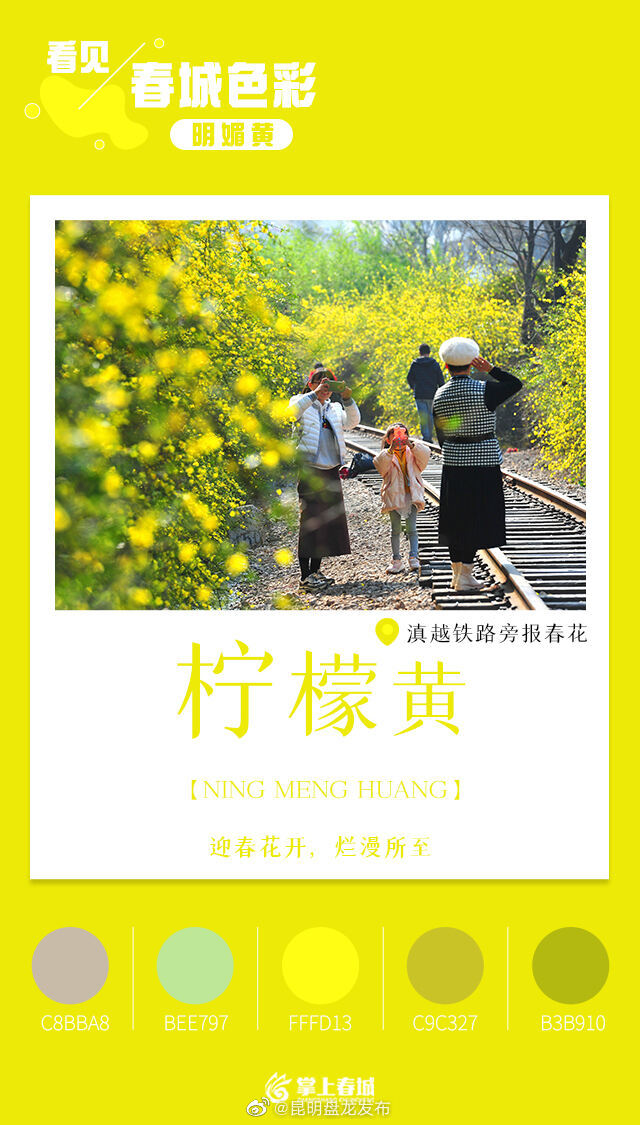 昆明盘龙发布