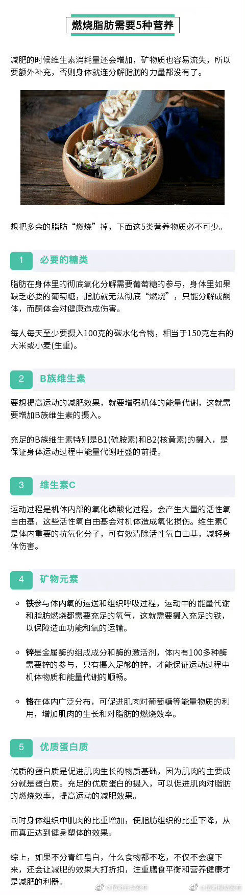 燃烧脂肪需要5种营养