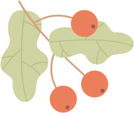 云南野生动物园