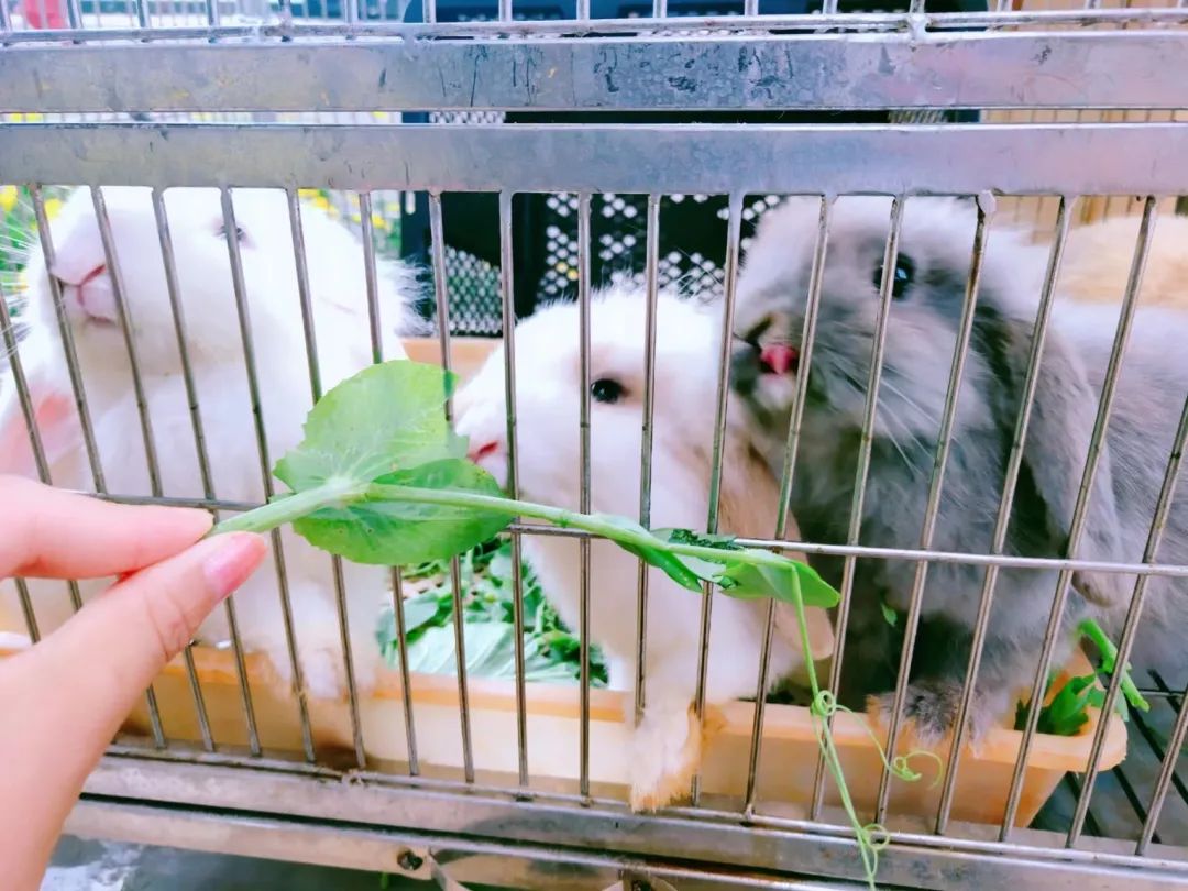 一部手机游云南