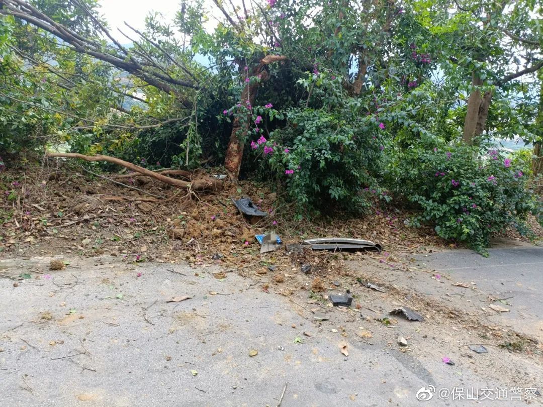 保山交通警察微博