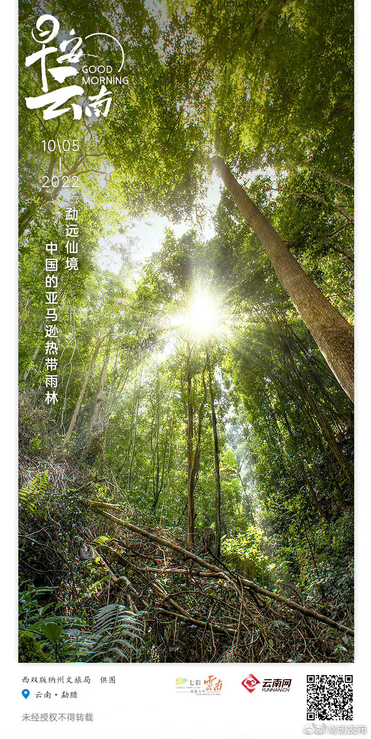 勐远仙境：中国的亚马逊热带雨林