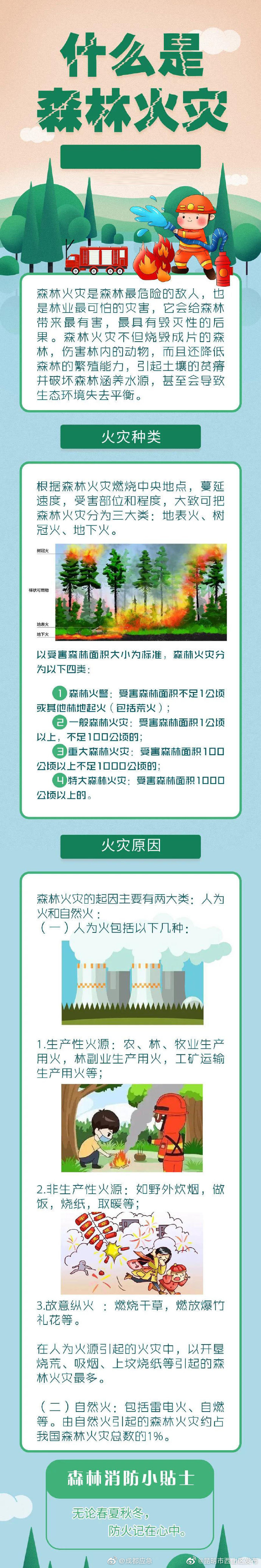 一图看懂森林火灾