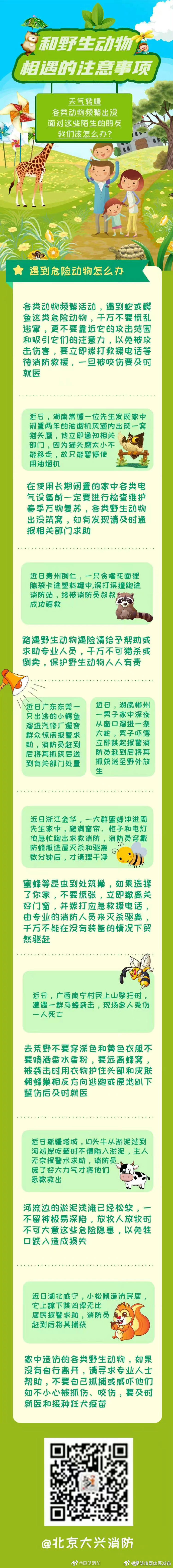与野生动物相遇的那些事
