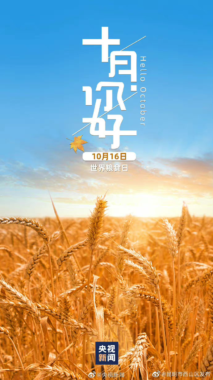 昆明市西山区发布