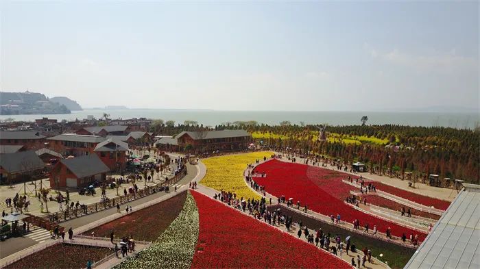 红色扎西