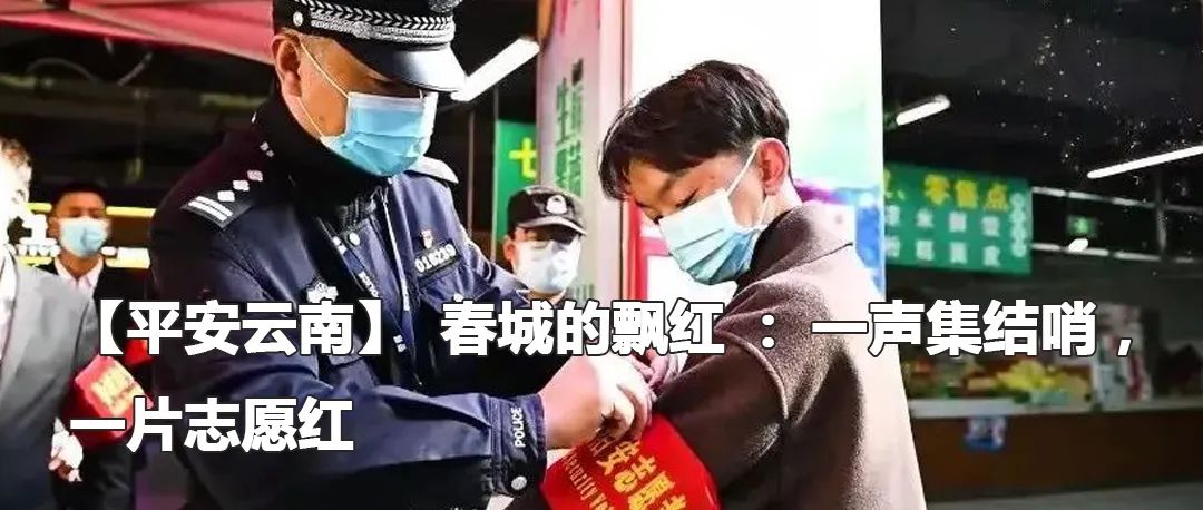 云南政法