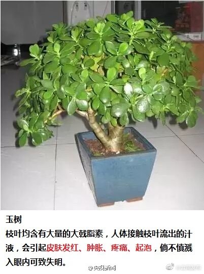 “云南发布”微博