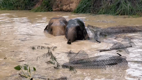 昆明信息港/cnkmxxg