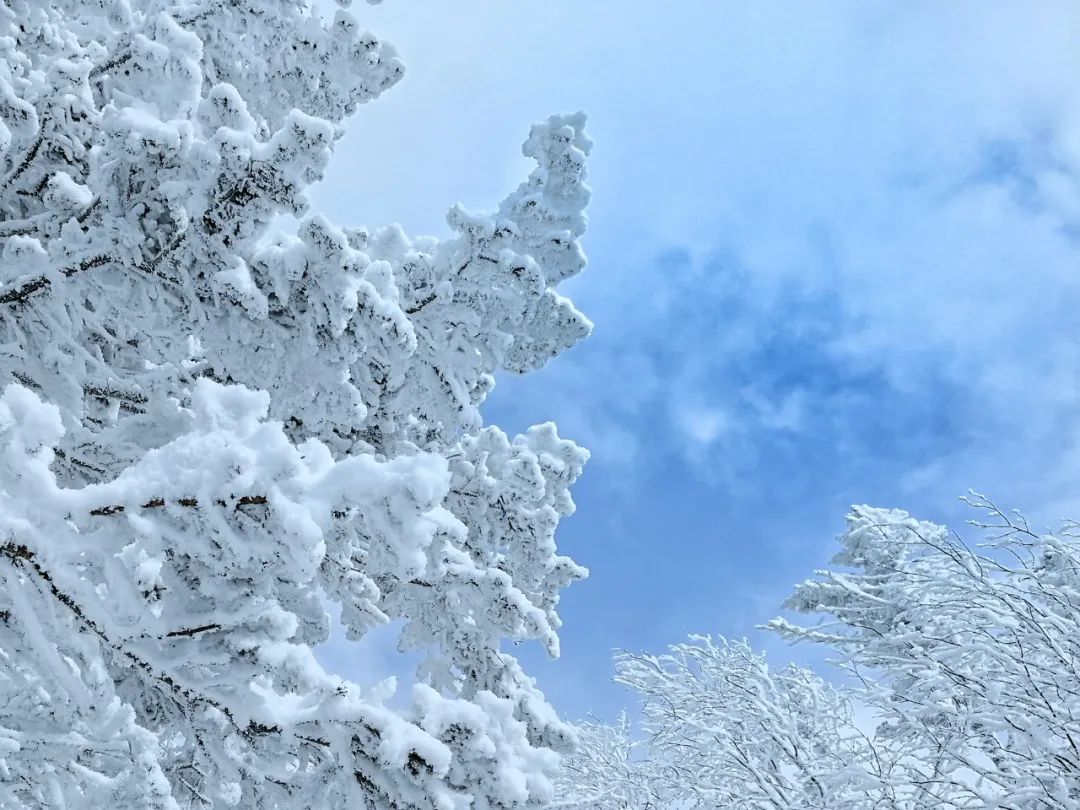 一部手机游云南