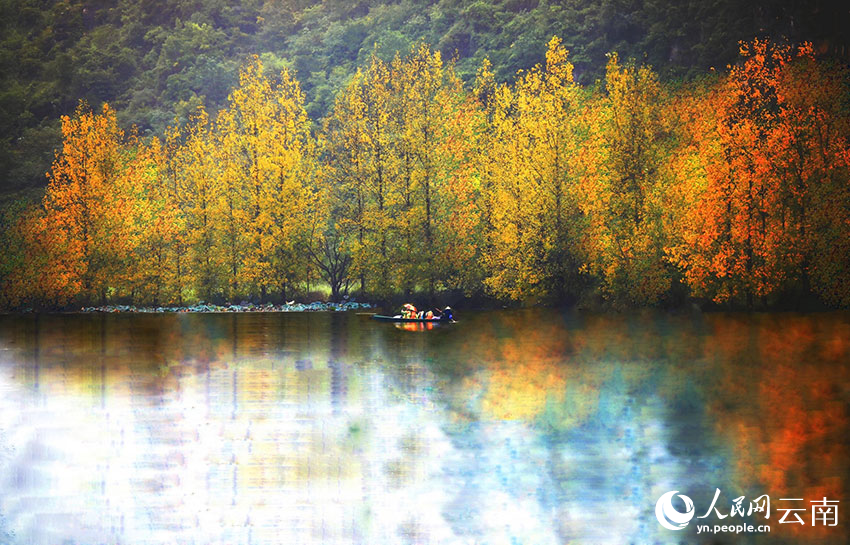 新华网云南频道