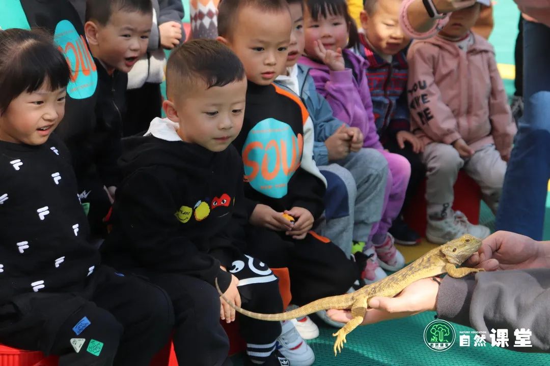 云南野生动物园